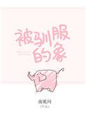 被驯服的象小说